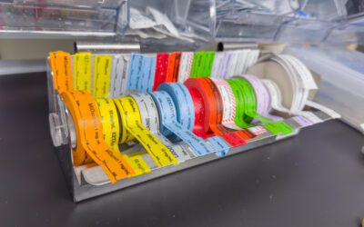 A Guide to Labels: Types and Their Diverse Applications
